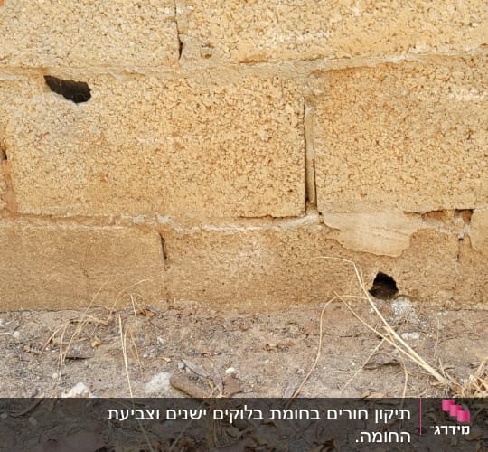 קיר לבנים עם חורים וסדקים על הקרקע